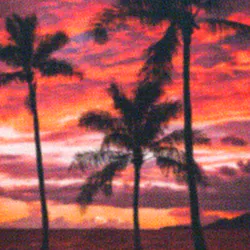 Big Island Sunset
