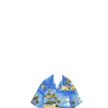 Thumbnail for version as of 19:09, 10 June 2026