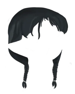 Braid Black.png