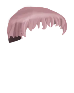 Short Pink