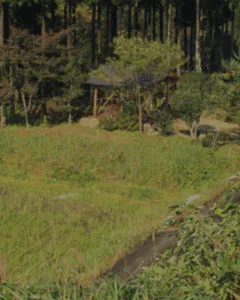 Nagano