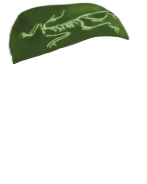 Miteryx Beanie.png