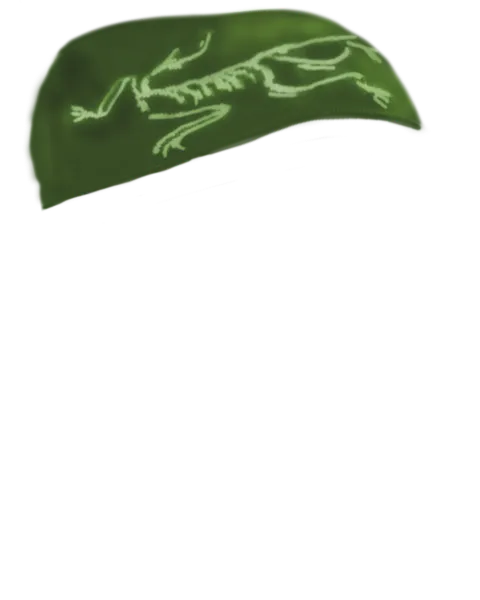 File:Miteryx Beanie.png