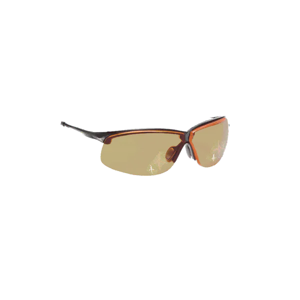 File:Shooting Glasses.png