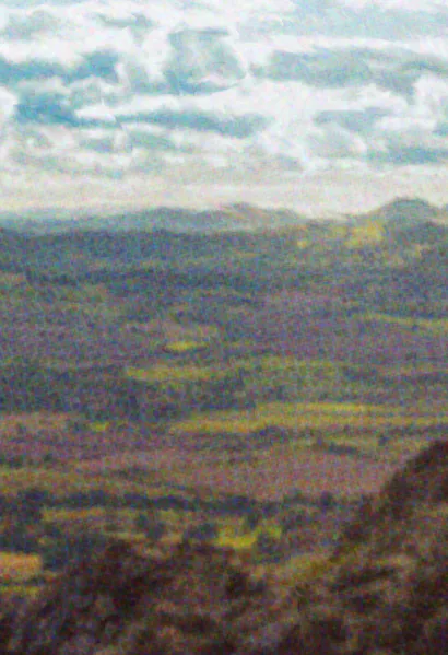 File:Beetleboy Milk Thistle Background.webp