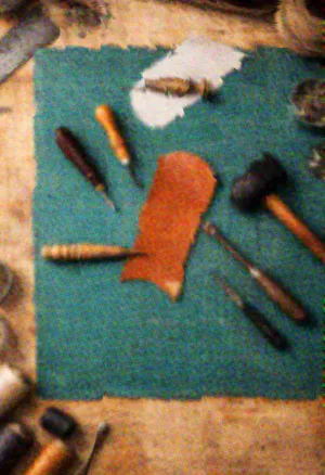 Beetleboy Pollen Common Background.webp