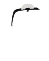 Thumbnail for version as of 00:55, 9 June 2026