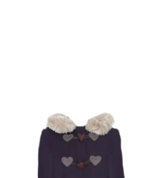 File:Fur Coat.png