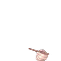 Thumbnail for version as of 17:28, 11 June 2026