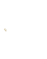 Thumbnail for version as of 00:50, 9 June 2026