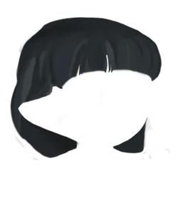 Bowl Black (Milady hair)