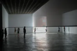 Robert Irwin Scrim Veil Black Rectangle Natural Light Whitney 2013