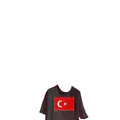Thumbnail for version as of 19:08, 10 June 2026