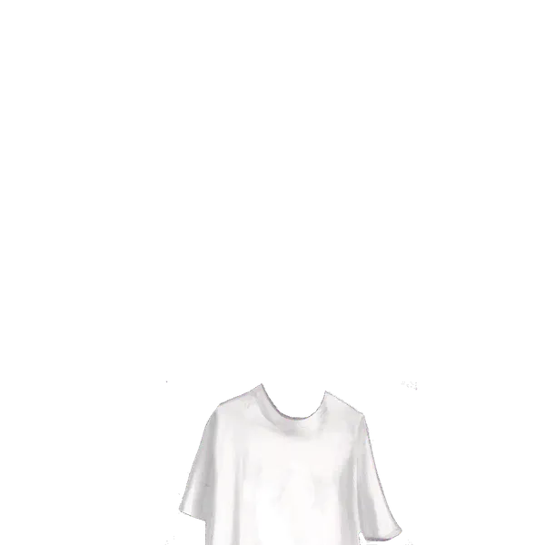 File:White Shirt.png