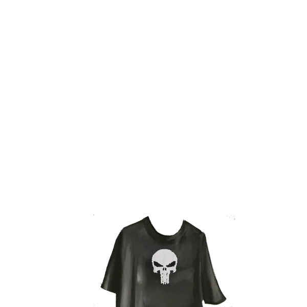 File:Punisher.png