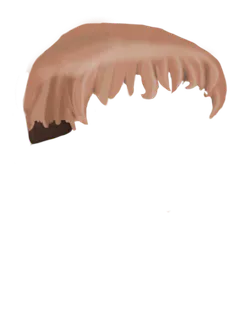 Short Orange (Milady hair)