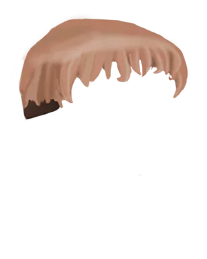 Short Orange.png
