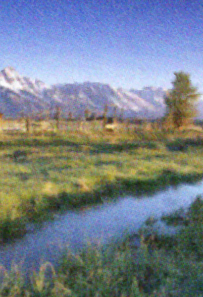 File:Beetleboy Sunflower Background.webp