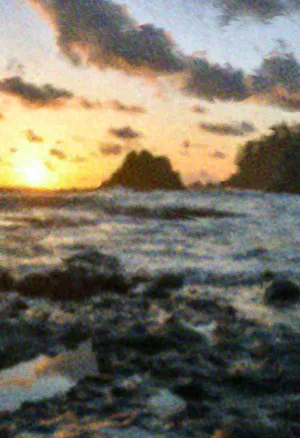 Beetleboy Imperial Tortoise Background.webp