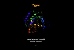 Zygote (website)