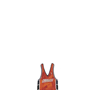 Charlotte Jersey