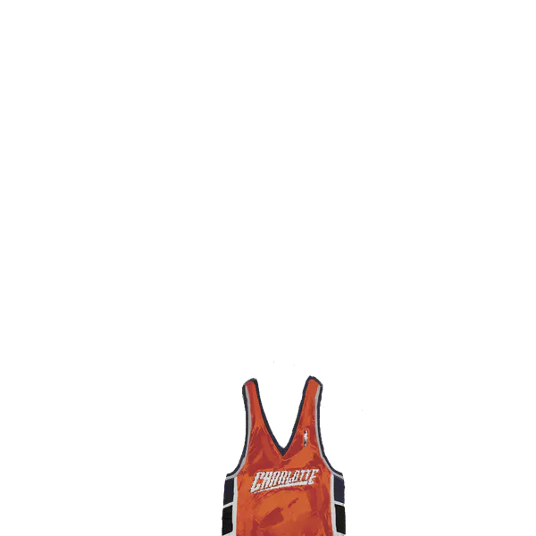 File:Charlotte Jersey.png