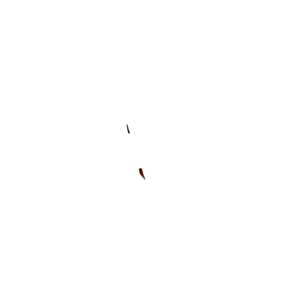 File:Scar.png