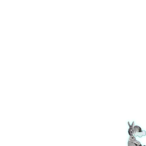 Rabbits.png
