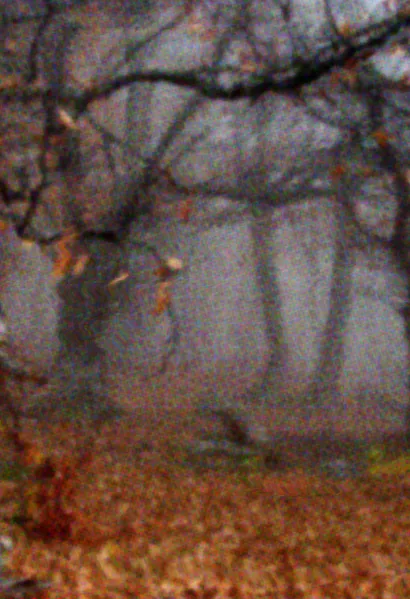 File:Beetleboy Skull Background.webp