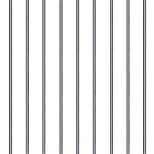Prison.png