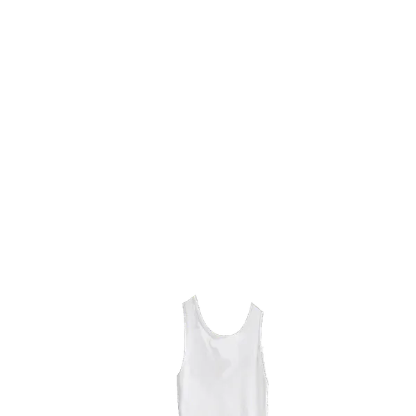 File:Wife Beater.png