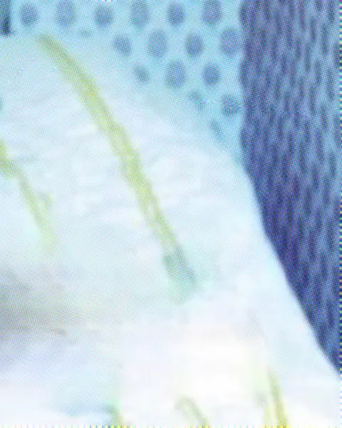 File:Bjork.png