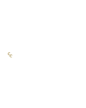 Dual Rings Gold.png