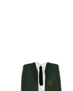 Green Blazer.png