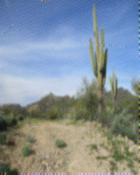 File:Sonora.png