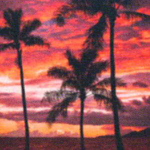 Big Island Sunset