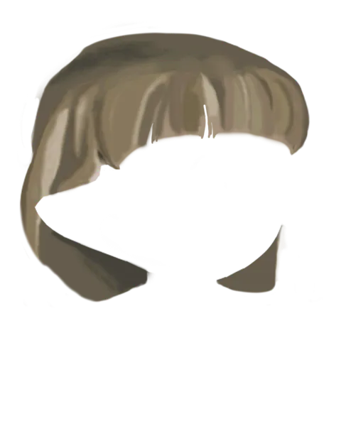 File:Bowl Brown.png