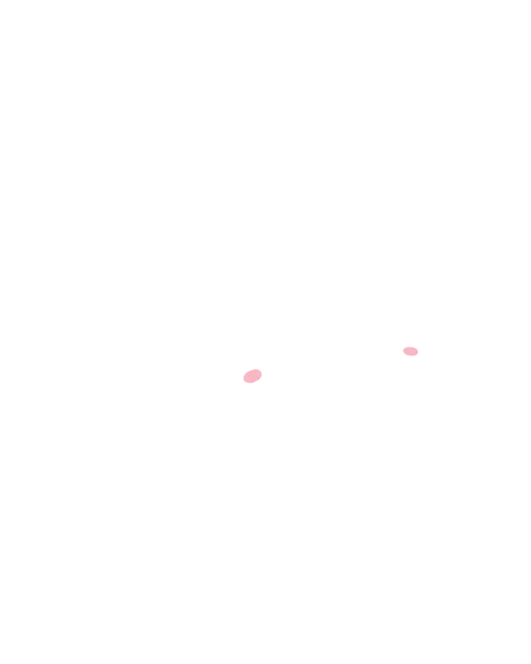 File:Oval Blush.png