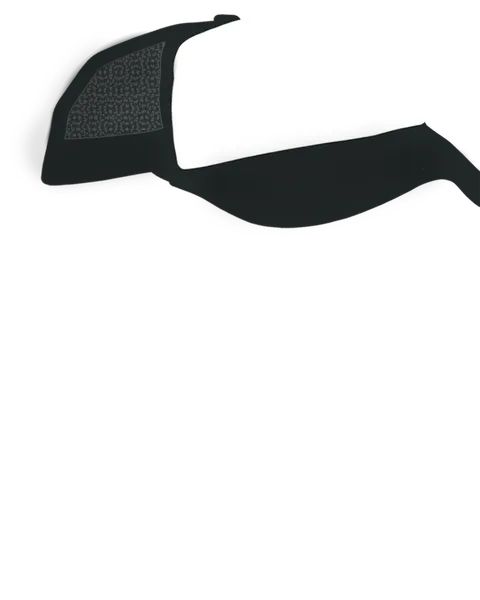 File:Trucker Black.png