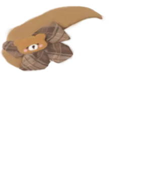 Bear Hat.png
