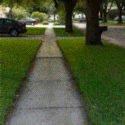 Had To Do It To Them