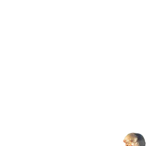 Onno.png
