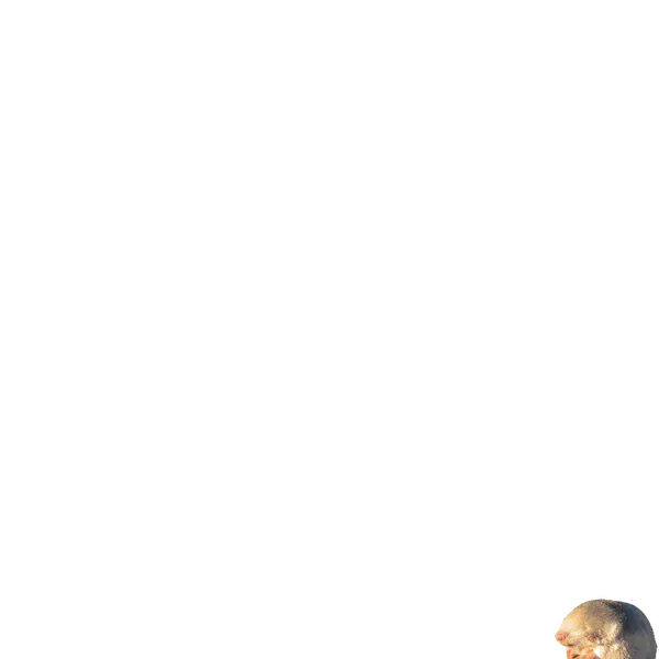 File:Onno.png