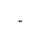 Thumbnail for version as of 18:49, 10 June 2026