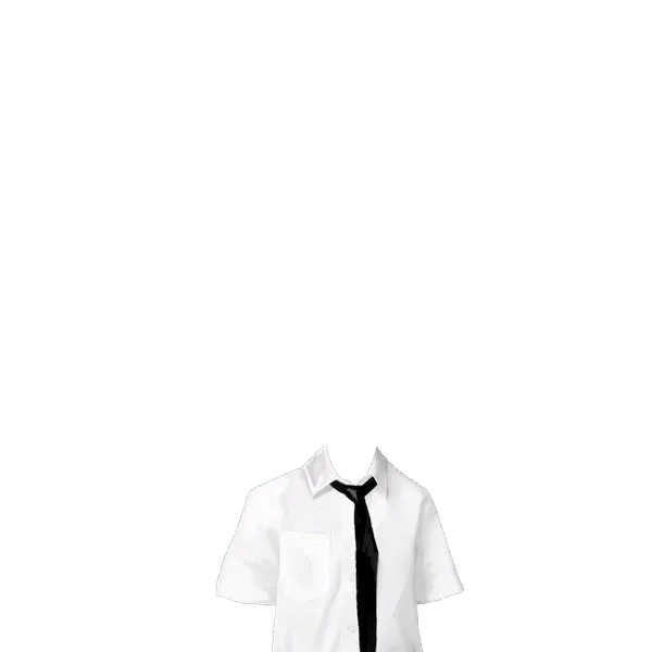 File:Shirt and Tie.png