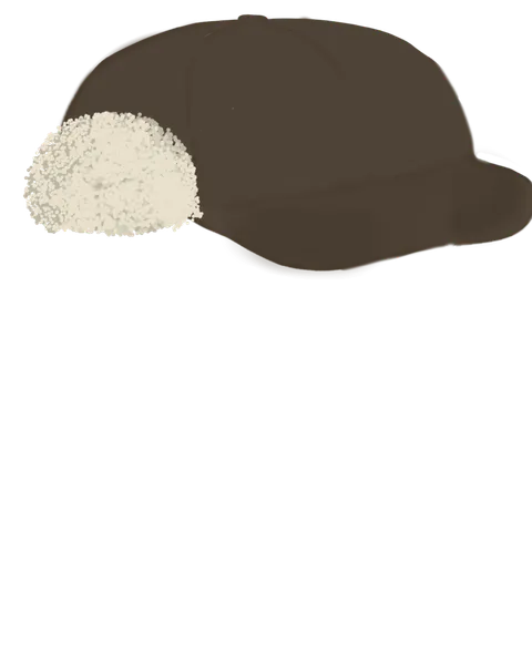 File:Earflap Cap.png