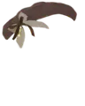 Thumbnail for version as of 00:54, 9 June 2026
