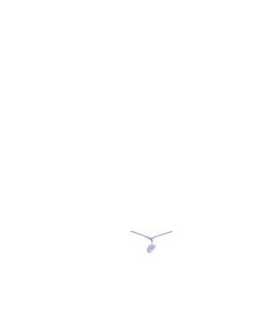 Fliphone Lanyard.png