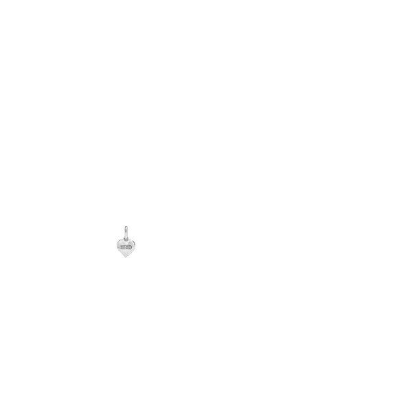 File:Balenciaga Icon.png