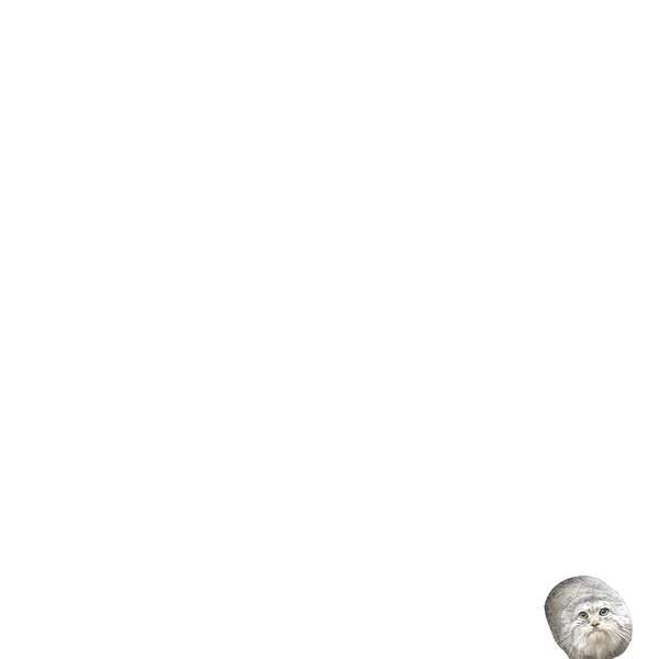 File:Apey.png